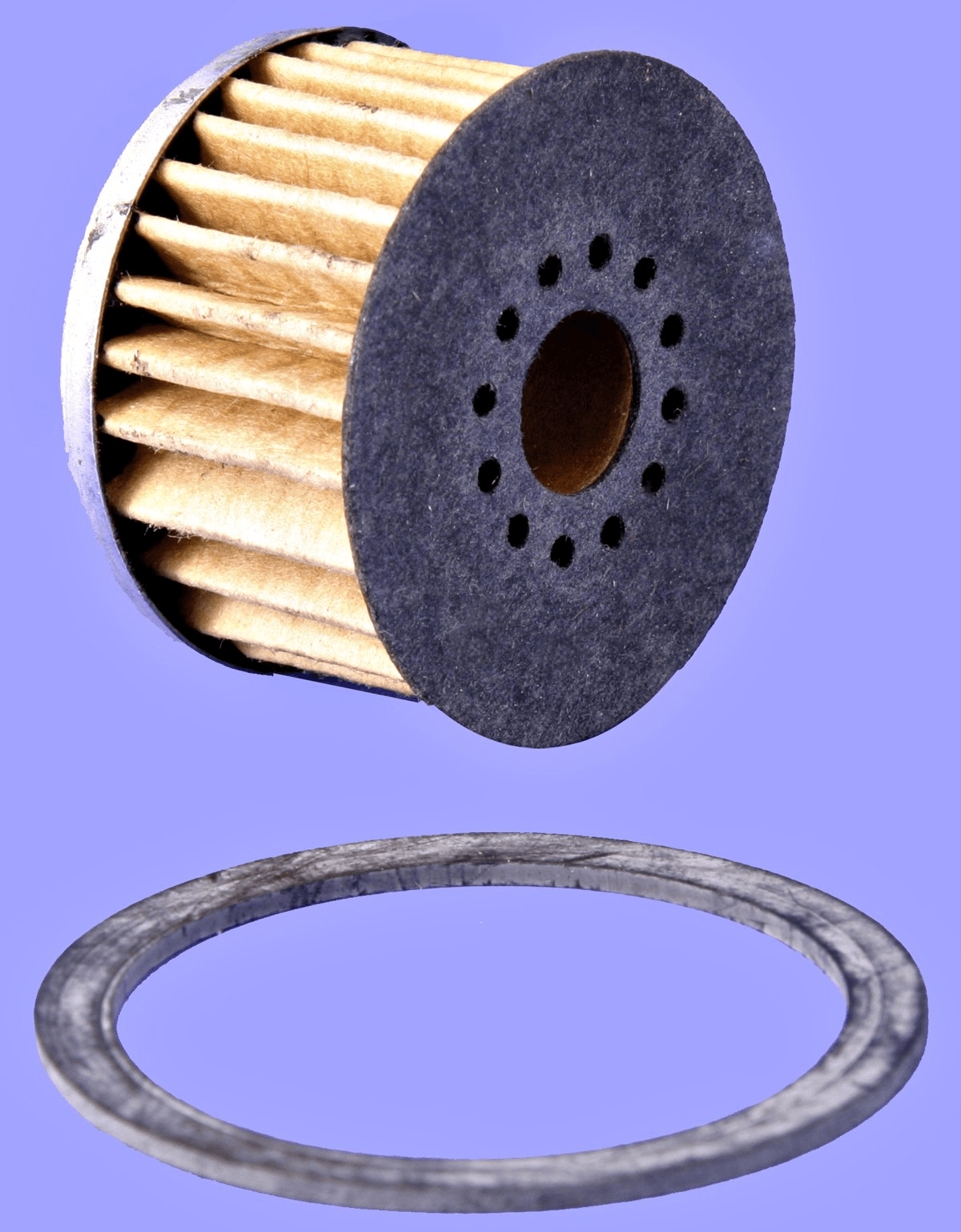 Benzinfilter Benzinfilter
