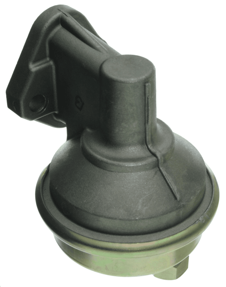 Benzinpumpe 3.8L V6 229ci