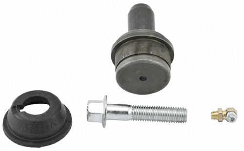 Traggelenk Traggelenk