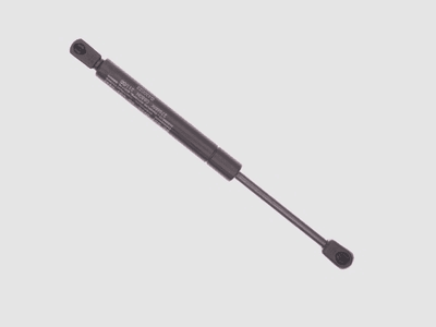 Dämpfer Heckklappe