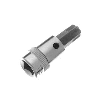 Torx-Nuss