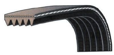 Treibriemen Treibriemen