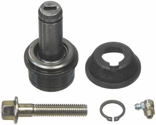Traggelenk Traggelenk