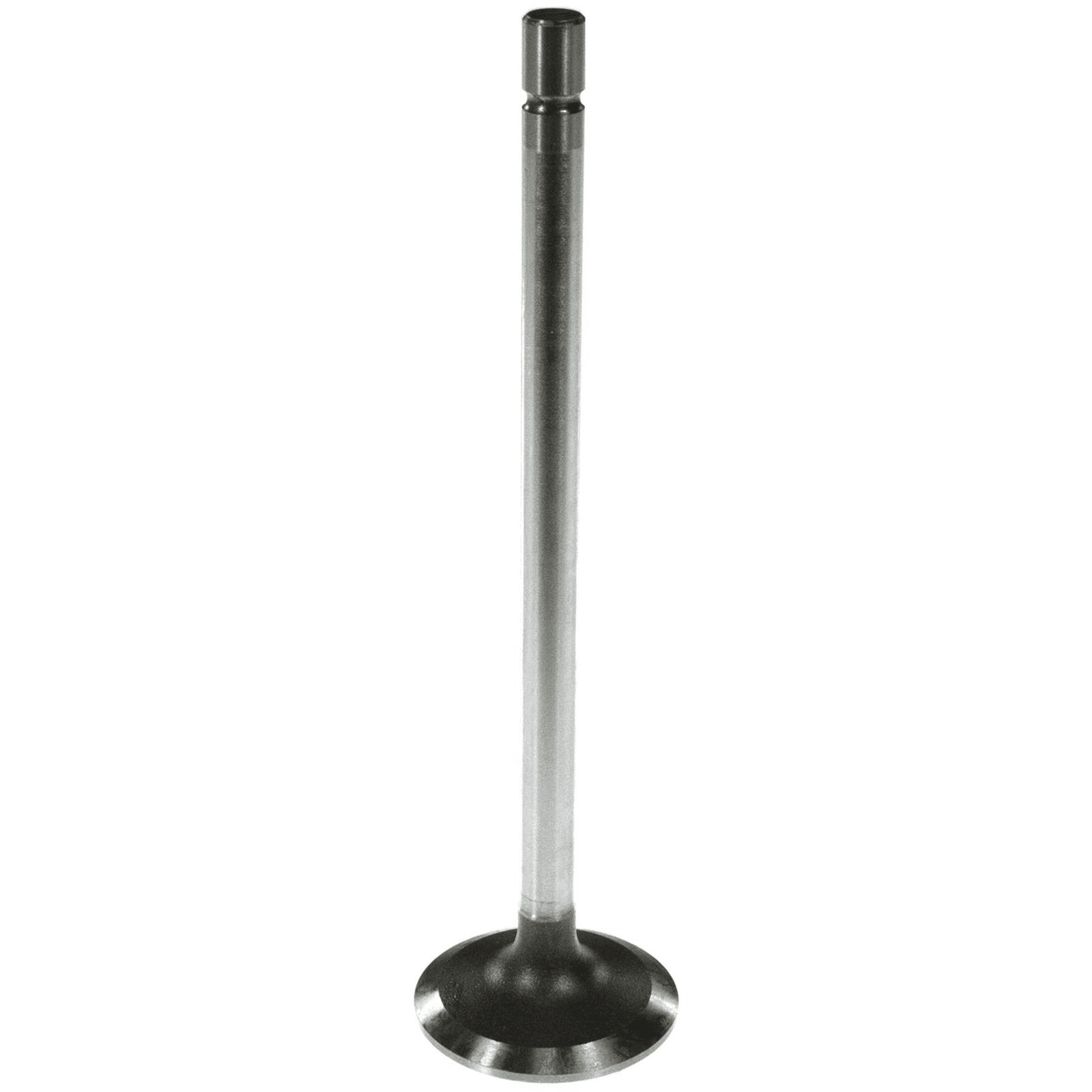 Einlassventil Einlassventil