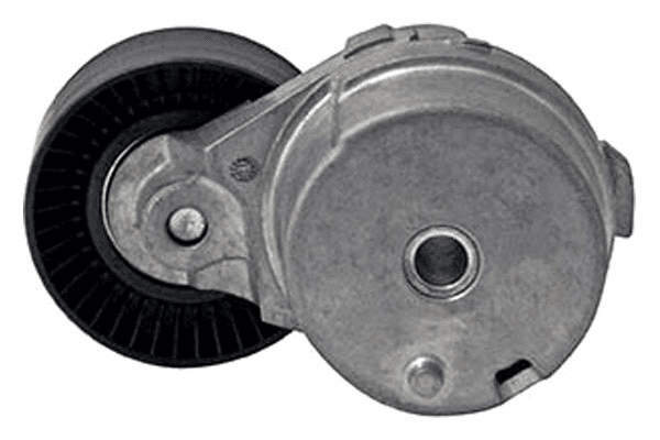 Treibriemenspanner 5.0L Mustang F150 Treibriemenspanner 5.0L Mustang F150