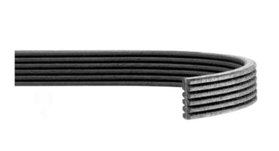 Treibriemen XLR