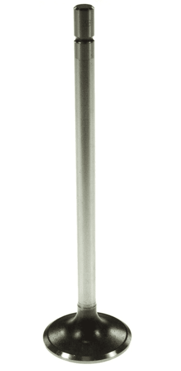 Einlassventil