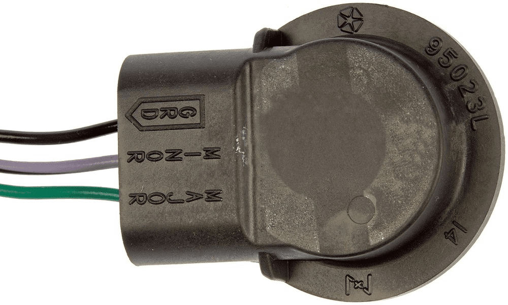 Fassung