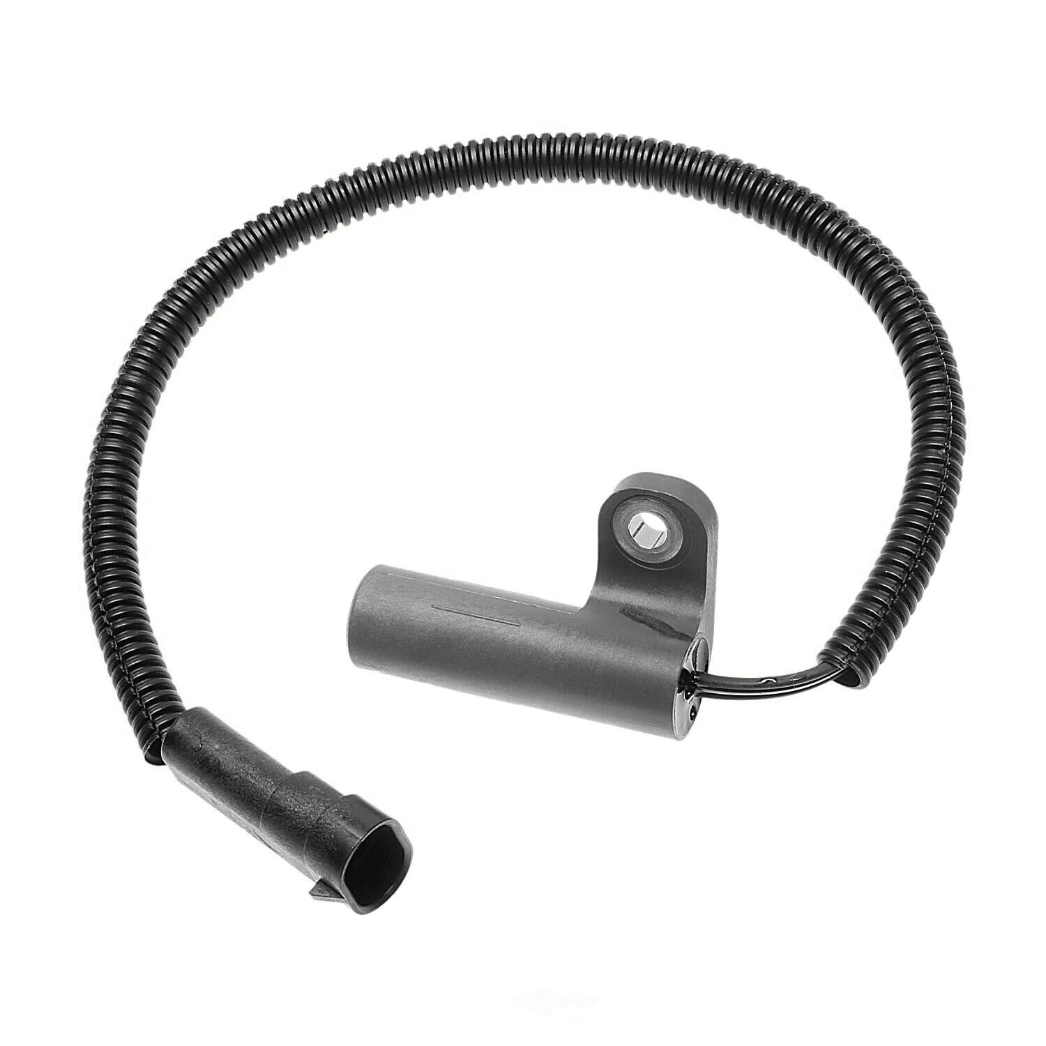 Kurbelwellensensor Kurbelwellensensor
